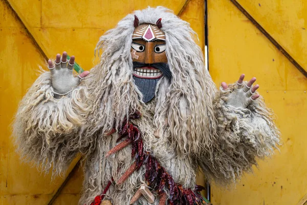 MOHACS, HUNGARY - 02 Mart Busojaras Karnavalı. 02 Mart 2025, Mohacs, Macaristan.