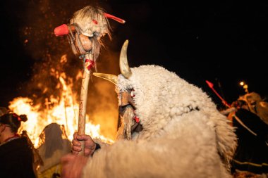 MOHACS, HUNGARY - 17 Şubat Busojaras Karnavalı. 17 Şubat 2026, Mohacs, Macaristan.