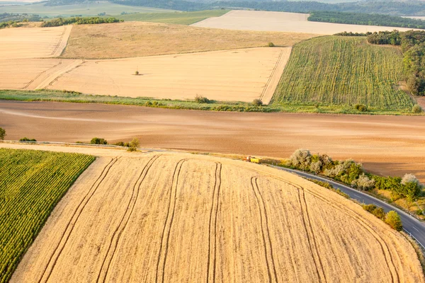 Veduta aerea dei campi agricoli — Foto Stock