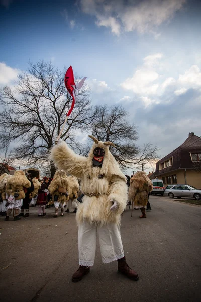 Busojaras в Mohacs — стокове фото