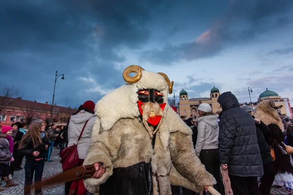 Busojara a Mohacs — Foto Stock