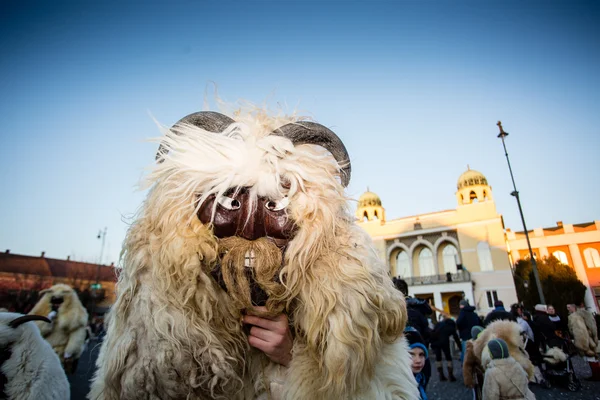 Busojaras in Mohacs — Stock Photo, Image