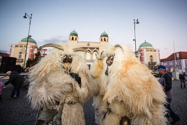 Busojaras v Mohacsu — Stock fotografie