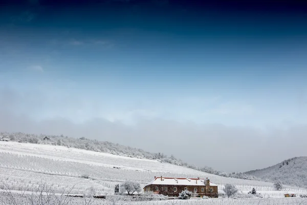 Vineyard with building in winter — 图库照片