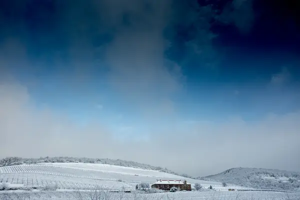 Viñedo con edificio en invierno — Foto de Stock