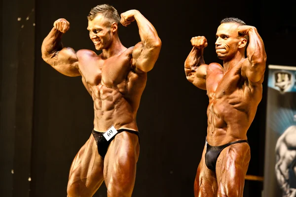 WBPF bodybuilding VM - Stock-foto