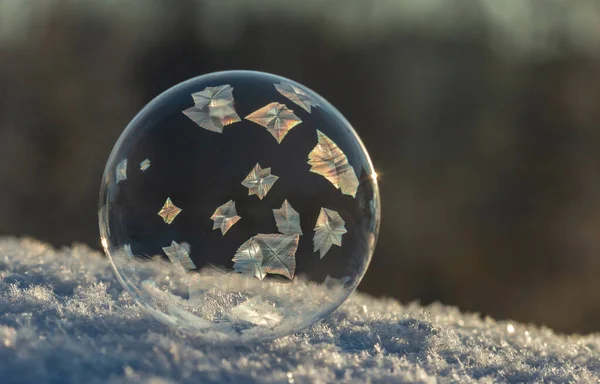 Mrożone Bańki Mydlane Śniegu — Zdjęcie stockowe