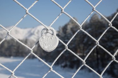 Dağların arka planında bir şebekede