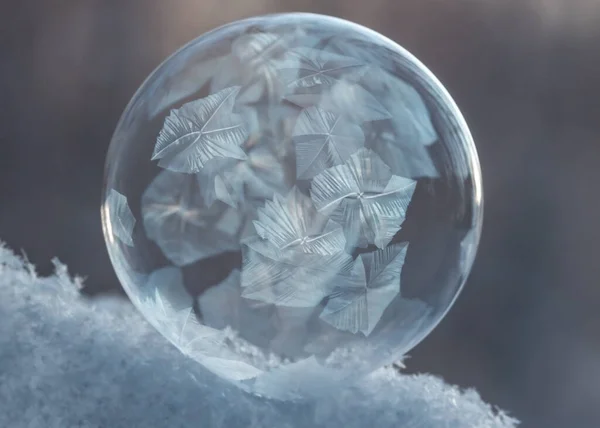 Bolha Sabão Congelada Neve — Fotografia de Stock