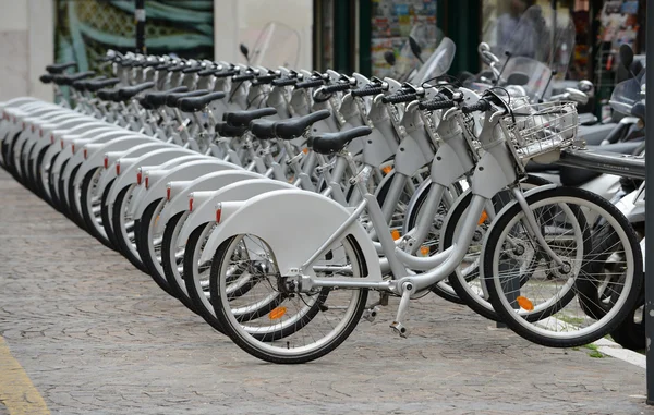 Alquiler de bicicletas — Foto de Stock