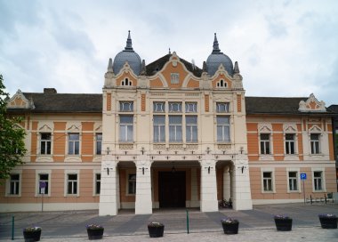 Town Hall - Szekszard - Hungary clipart