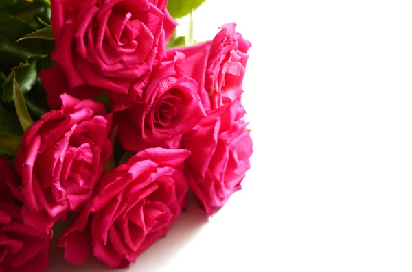 Strauß rosa Rosen isoliert auf weiß. — Stockfoto