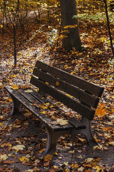Старая скамейка в осеннем парке — стоковое фото