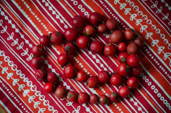 Perline rosse da bacche di rosa canina — Foto Stock