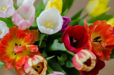 Paskalya Lale buketi