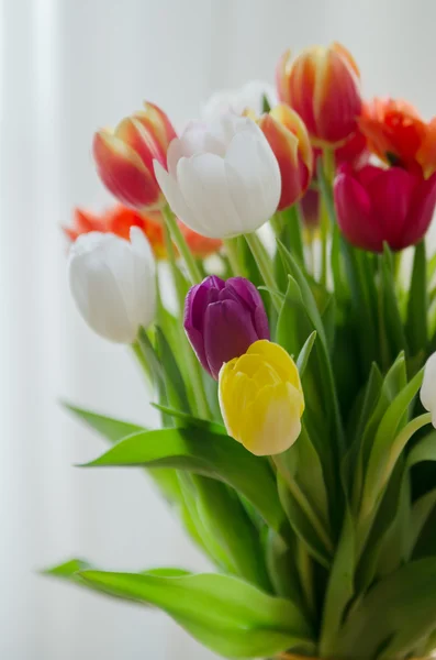 Ramo de tulipán de Pascua Imagen De Stock