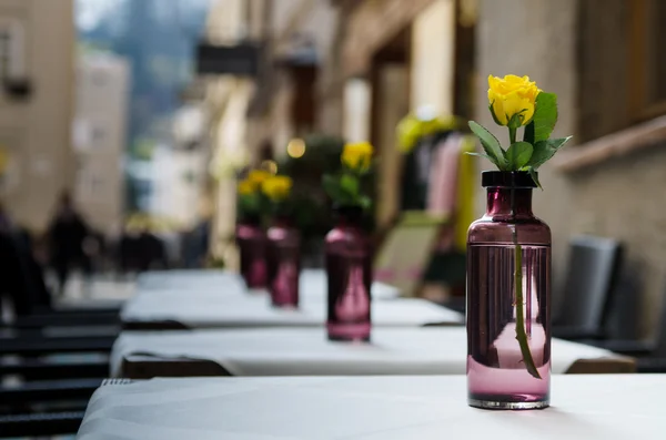 Rose gialle in bottiglie viola trasparenti — Foto Stock