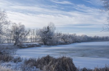 Karlı ağaçlı bir manzara. Donmuş Göl.
