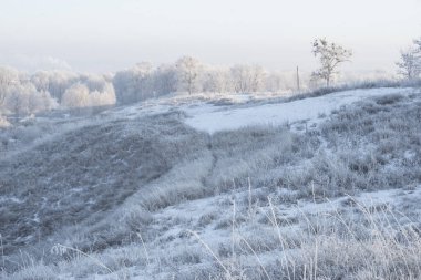 Kış gündoğumu ve yamaçta bir ağaç. Muhteşem kış manzarası. Güneş doğarken donmuş karlı ağaçlar. Noel tatili geçmişi