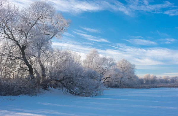 Karlı ağaçlı bir manzara. Donmuş Göl.