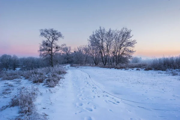 Country Road Frosted Fák Között Téli Erdő Egy Napsütéses Napon — Stock Fotó