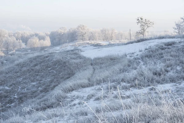 Kış gündoğumu ve yamaçta bir ağaç. Muhteşem kış manzarası. Güneş doğarken donmuş karlı ağaçlar. Noel tatili geçmişi