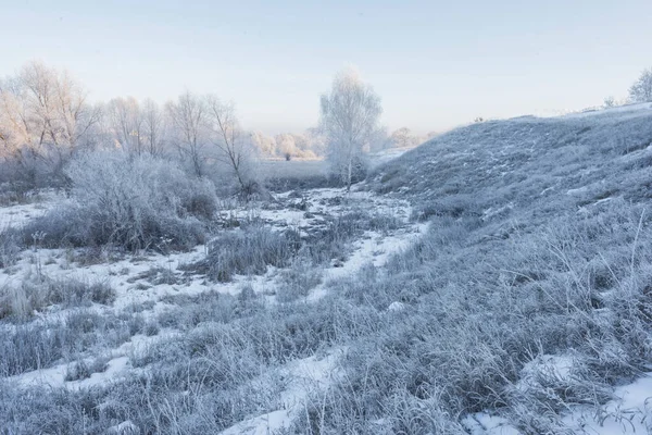 winter sunrise and a tree on a slope. Fantastic winter landscape. frozen snowy trees at sunrise. Christmas holiday background