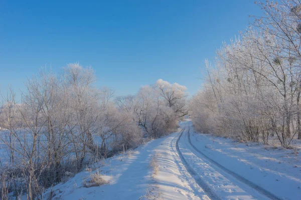 Country Road Frosted Fák Között Téli Erdő Egy Napsütéses Napon — Stock Fotó