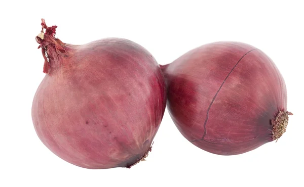Whole red onion — Stock Photo, Image