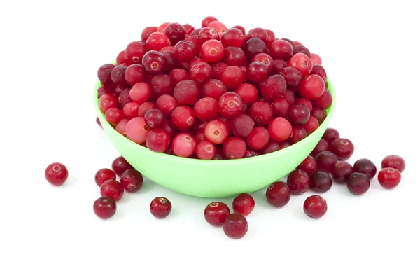 Cranberry — Stockfoto