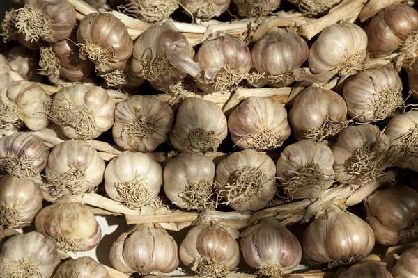 Garlic — Stock Photo, Image