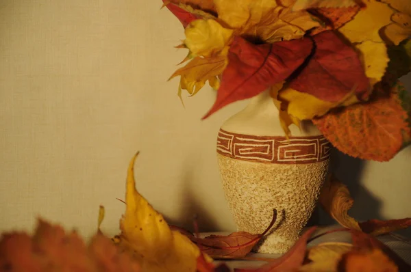 Herbstblätter in alter griechischer Vase — Stockfoto