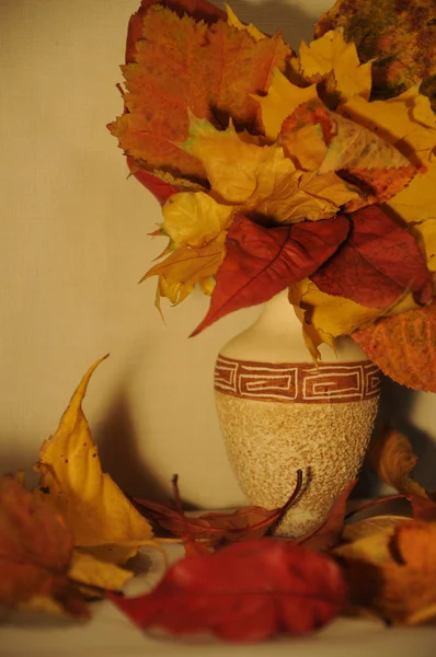 Autumn leaves in old greek style vase — Stock Photo, Image