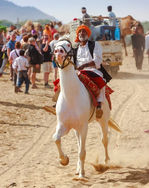 Um cavaleiro não identificado em um cavalo branco assiste na feira Pushkar — Fotografia de Stock