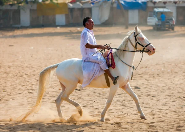 Un cavalier non identifié sur un cheval blanc assiste à la Pushkar fa — Photo