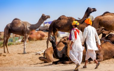 Etnik kıyafetleri erkeklerde katılır Pushkar Rajasthan, Indi adil