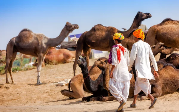 Uomini in abbigliamento etnico assistono alla fiera Pushkar in Rajasthan, Indi — Foto Stock