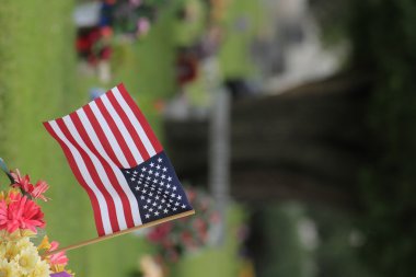 Ağaç closeup ile Bize Bayrak