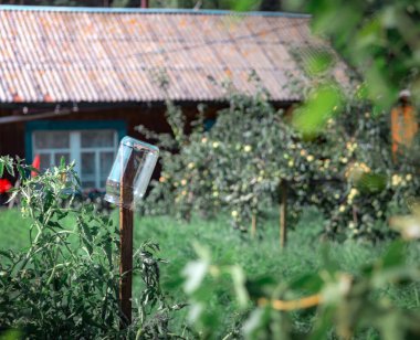 Kırsal alanda cam kavanozda.