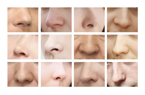 코입니다. 다양 한 형태의 코 — 스톡 사진