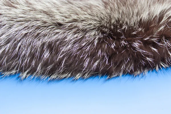 Fur fox. Natural fur — Stock Photo, Image