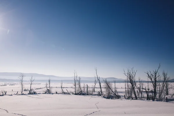 Panoráma a téli reggel Jogdíjmentes Stock Képek