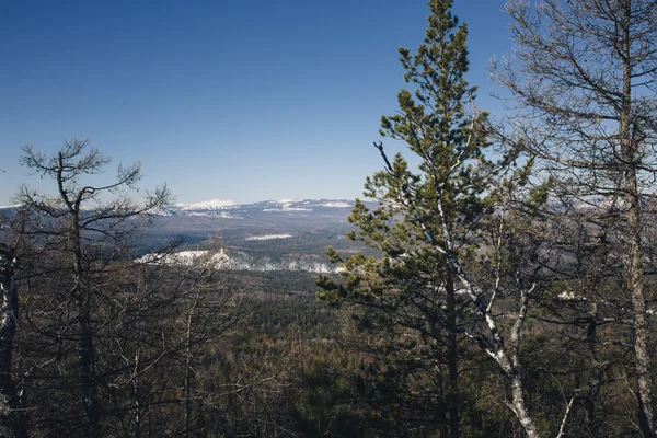 Sunny day in the mountains — Stock Photo, Image