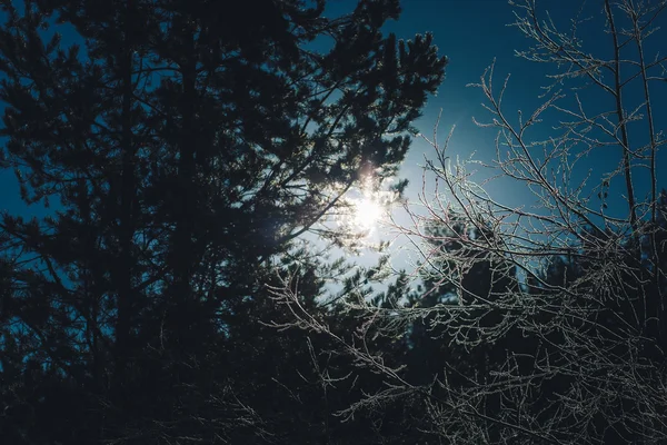 Journée ensoleillée dans les montagnes — Photo