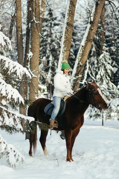 Menina bonita e cavalo no inverno — Fotografia de Stock