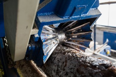 Otomatik sıralama günlükleri çapı