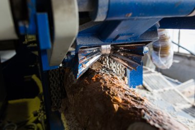 Otomatik sıralama günlükleri çapı