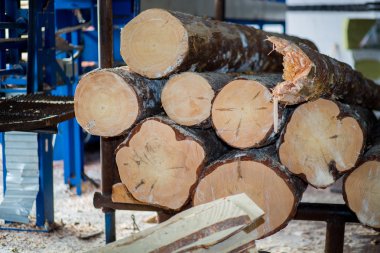 Otomatik sıralama günlükleri çapı