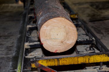 Otomatik sıralama günlükleri çapı