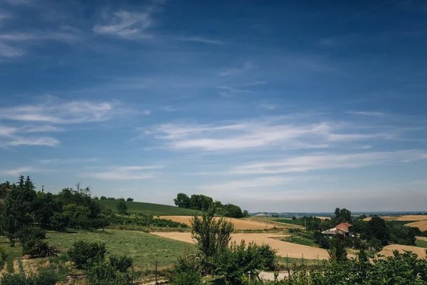 Clouds on the meadow — Stock Photo, Image